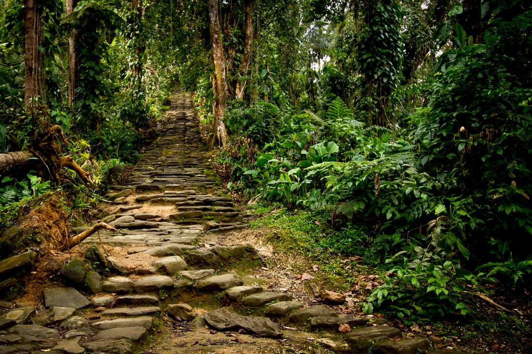 The ancient stone stairway leading up to Ciudad Perdida