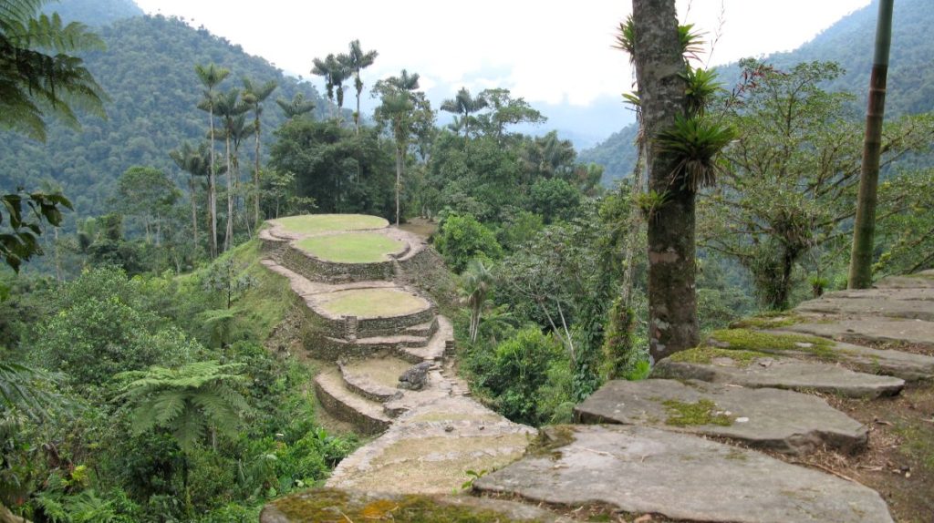 Stone terraces of Ciudad Perdida, the Lost City, in the Colombian jungle