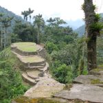 Stone terraces of Ciudad Perdida, the Lost City, in the Colombian jungle