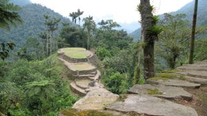 Stone terraces of Ciudad Perdida, the Lost City, in the Colombian jungle