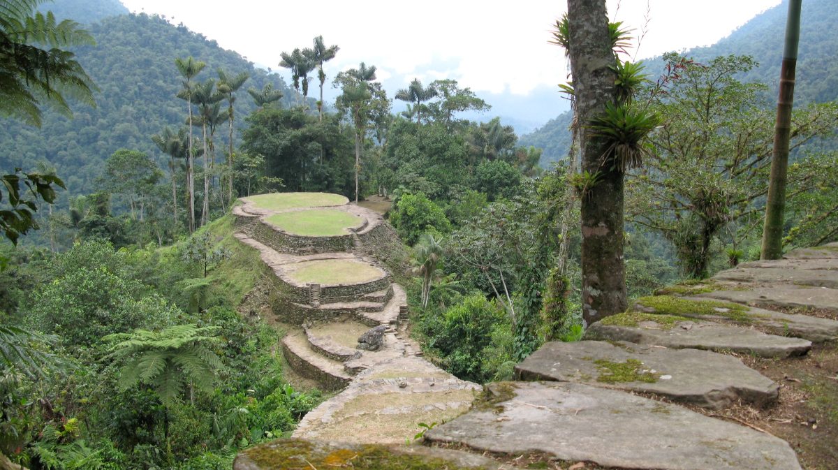 Stone terraces of Ciudad Perdida, the Lost City, in the Colombian jungle