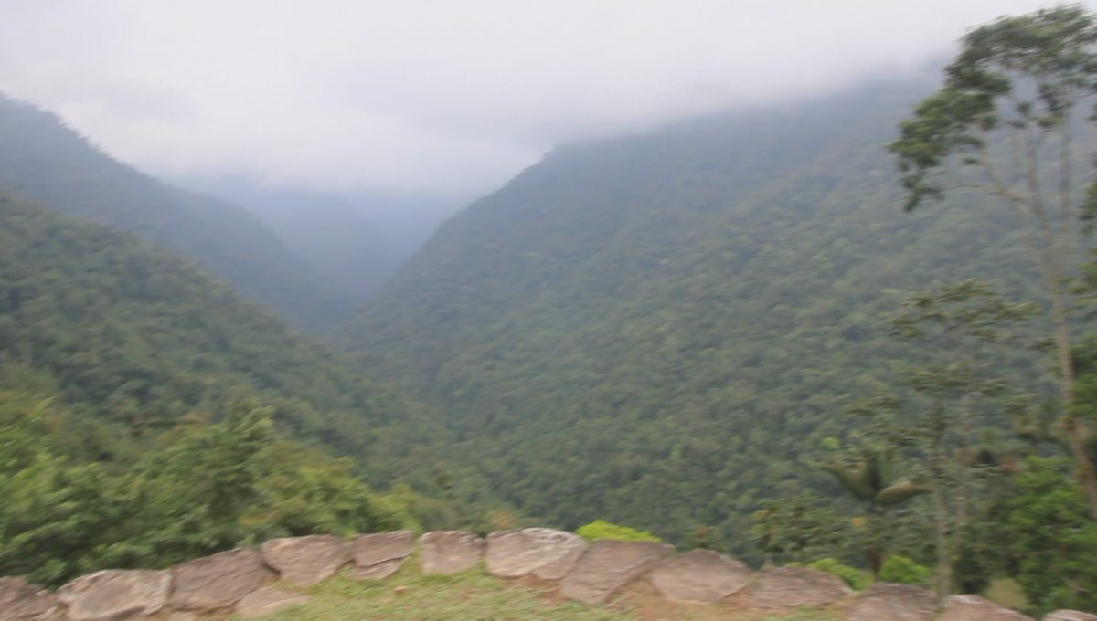 Panoramic mountain view from the Ciudad Perdida archaeological site