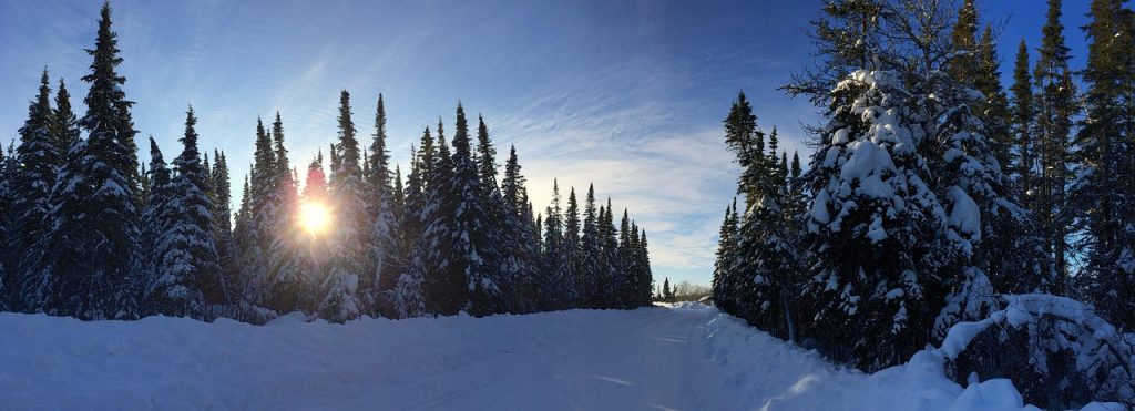 James Bay and the surrounding lowlands remain central to Cree homeland and identity.
