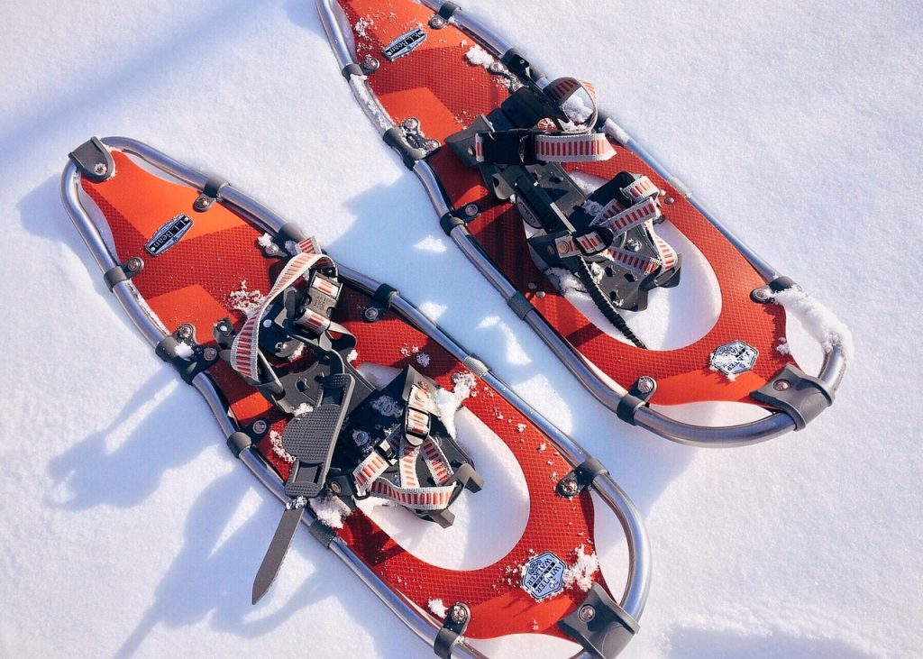 Snowshoes made winter travel and hunting possible across deep forest snow.