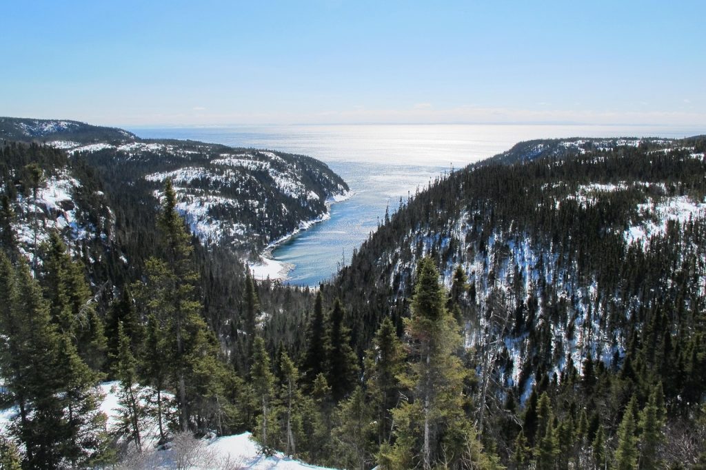 The Cree remain one of the largest and most widely distributed First Nations in Canada.