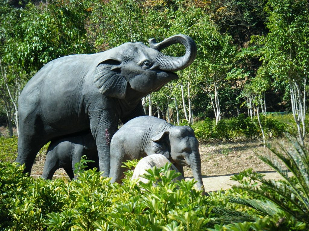The Dai are close kin to the Thai and Lao peoples.