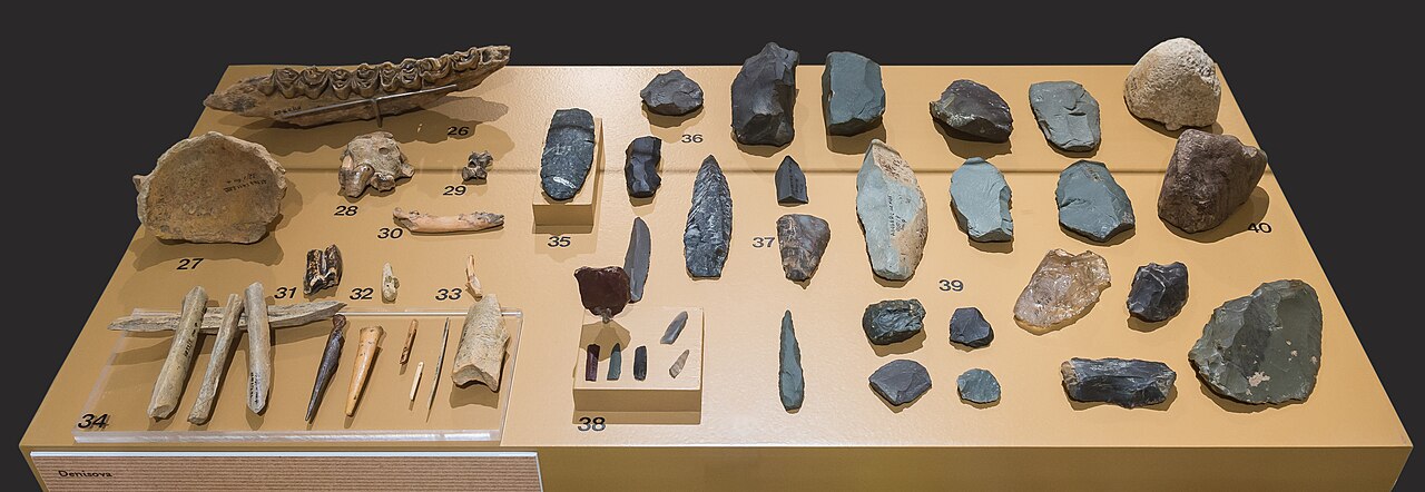 Artifacts and faunal remains from Denisova Cave. Originals exhibited in the special exhibition "Le troisième Homme" at the Musée national de Préhistoire in Les Eyzies-de-Tayac, France
