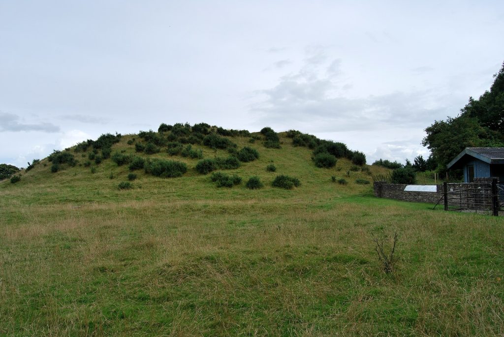 The great grassy mound of Dowth rising above the Boyne farmland
