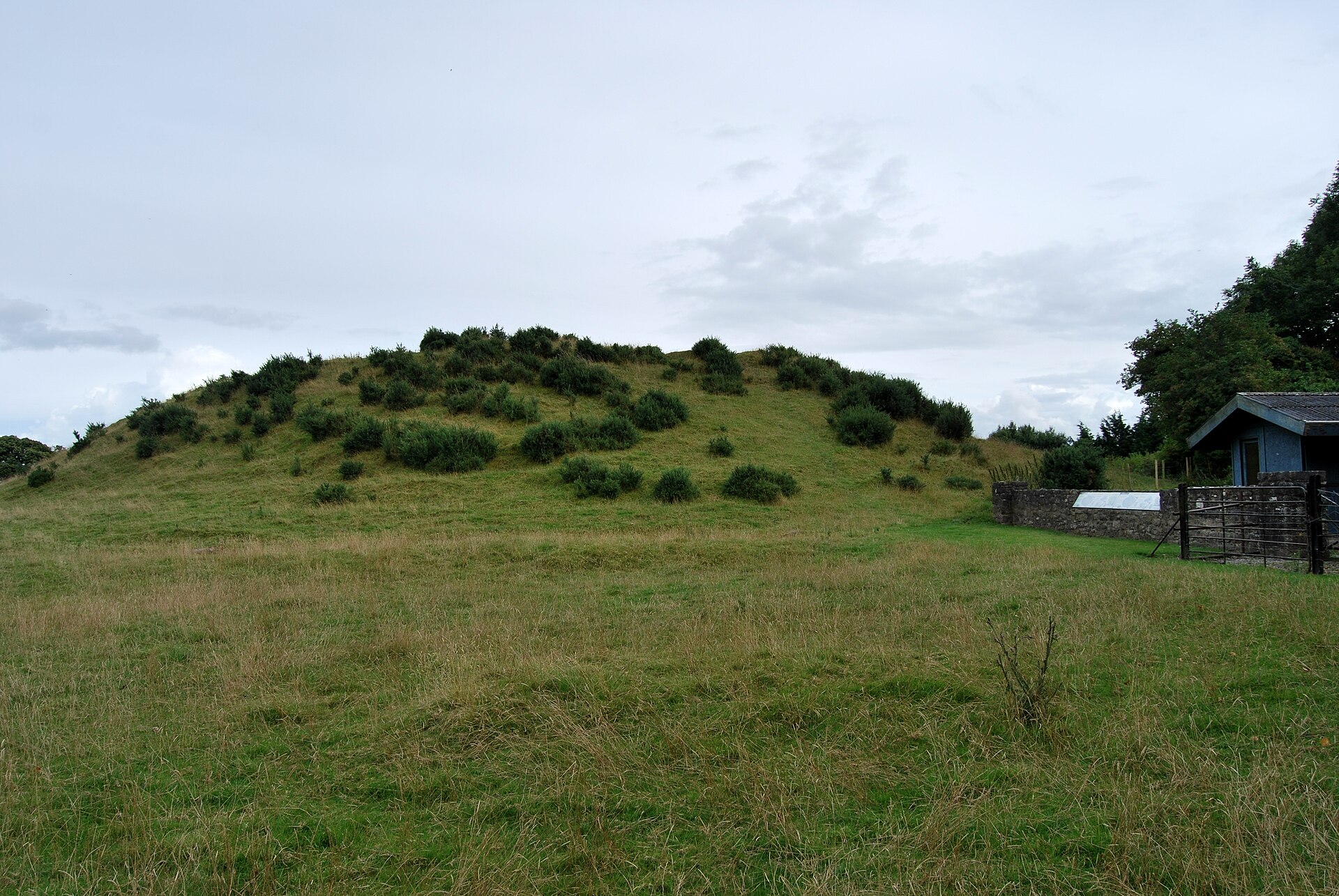 The great grassy mound of Dowth rising above the Boyne farmland