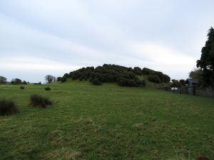 The tomb’s stones catching low daylight