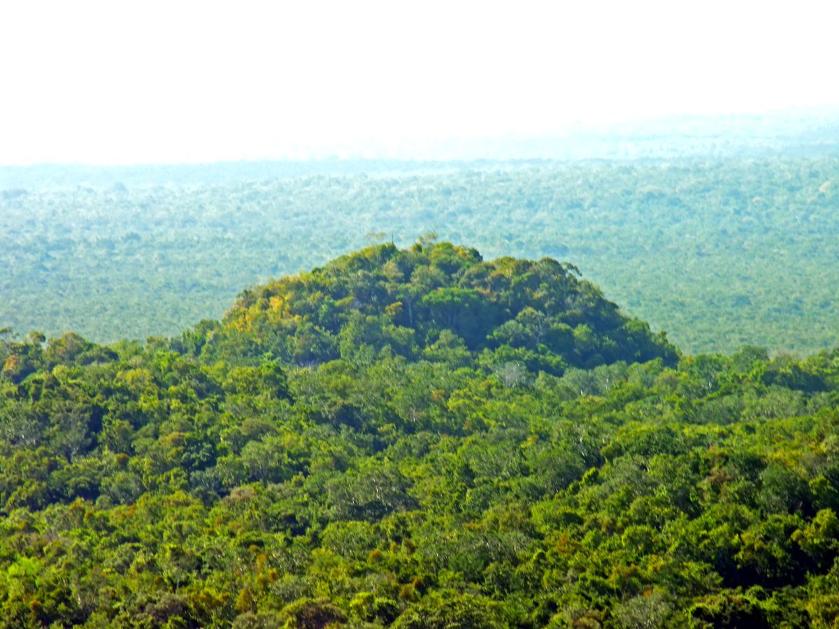 Excavated ancient structure at the El Mirador Maya site in Guatemala