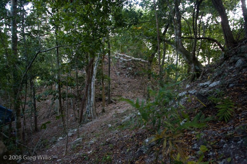 Jaguar Paw Temple structure at the El Tigre pyramid complex in El Mirador