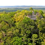 La Danta pyramid rising above the rainforest at El Mirador Guatemala