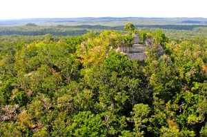 La Danta pyramid rising above the rainforest at El Mirador Guatemala