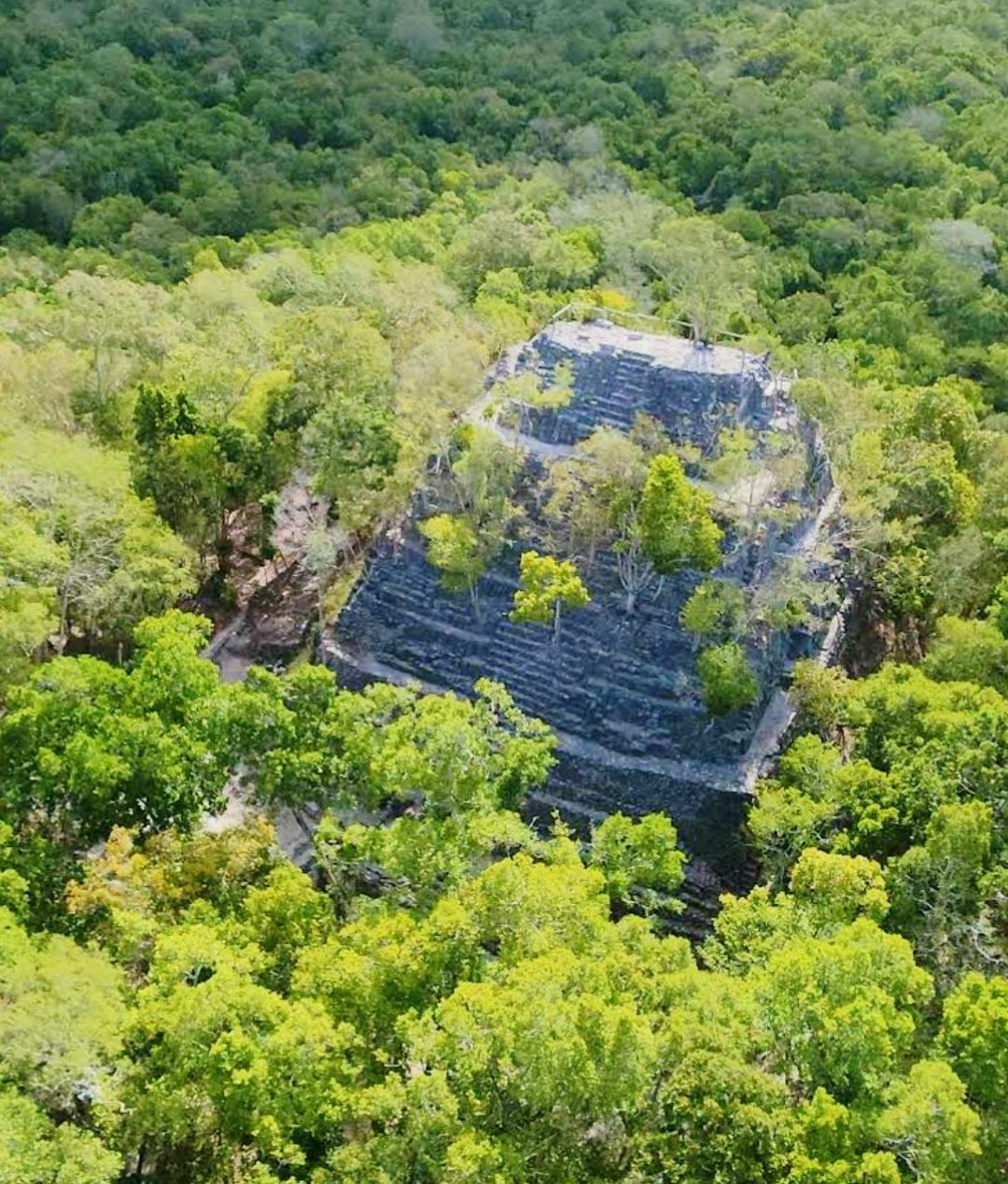 Stepped structure of the La Danta pyramid complex at El Mirador in Peten Guatemala
