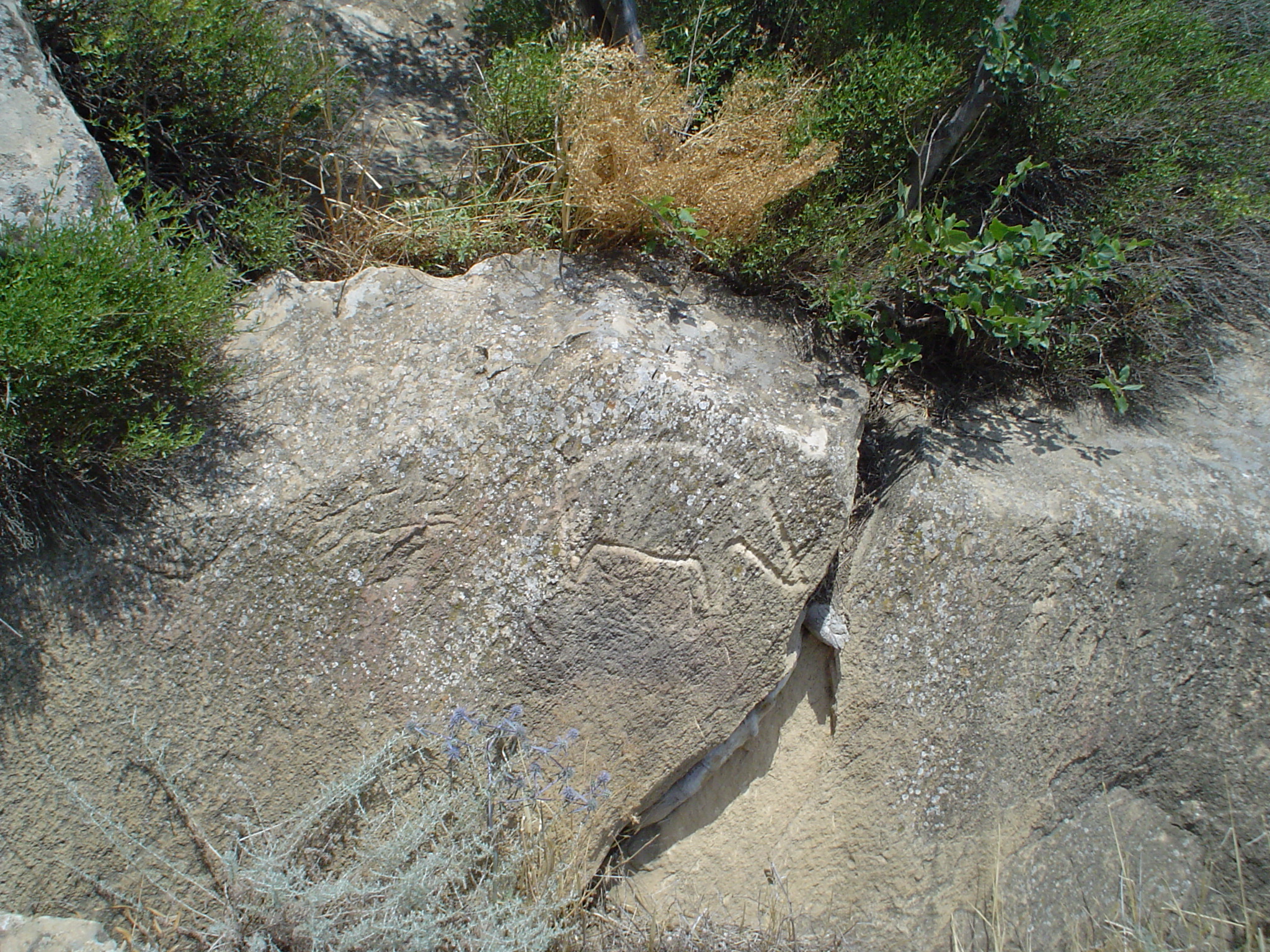 More petroglyphs incised into the rocks of Gobustan