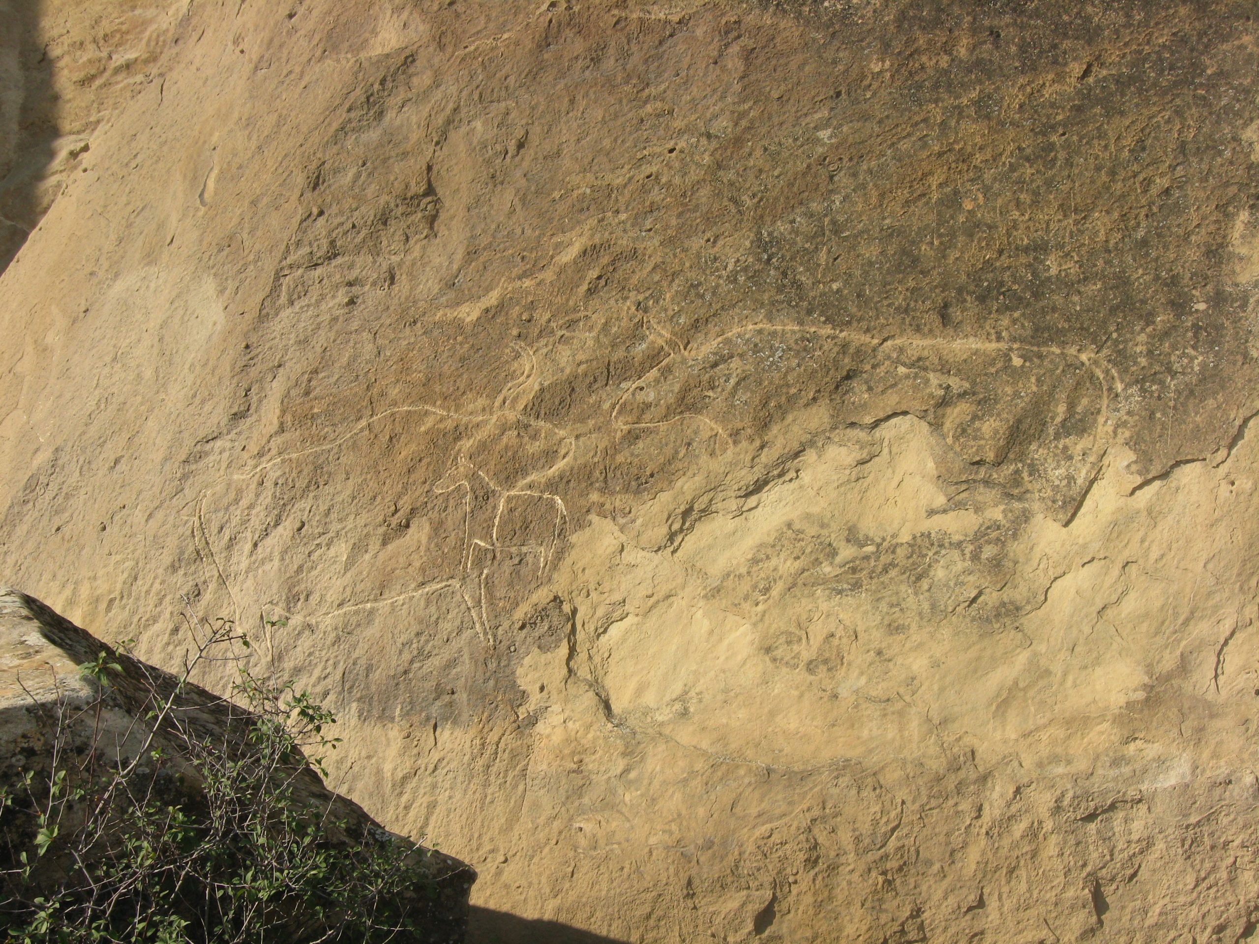 A panel of rock art among the boulders of Gobustan