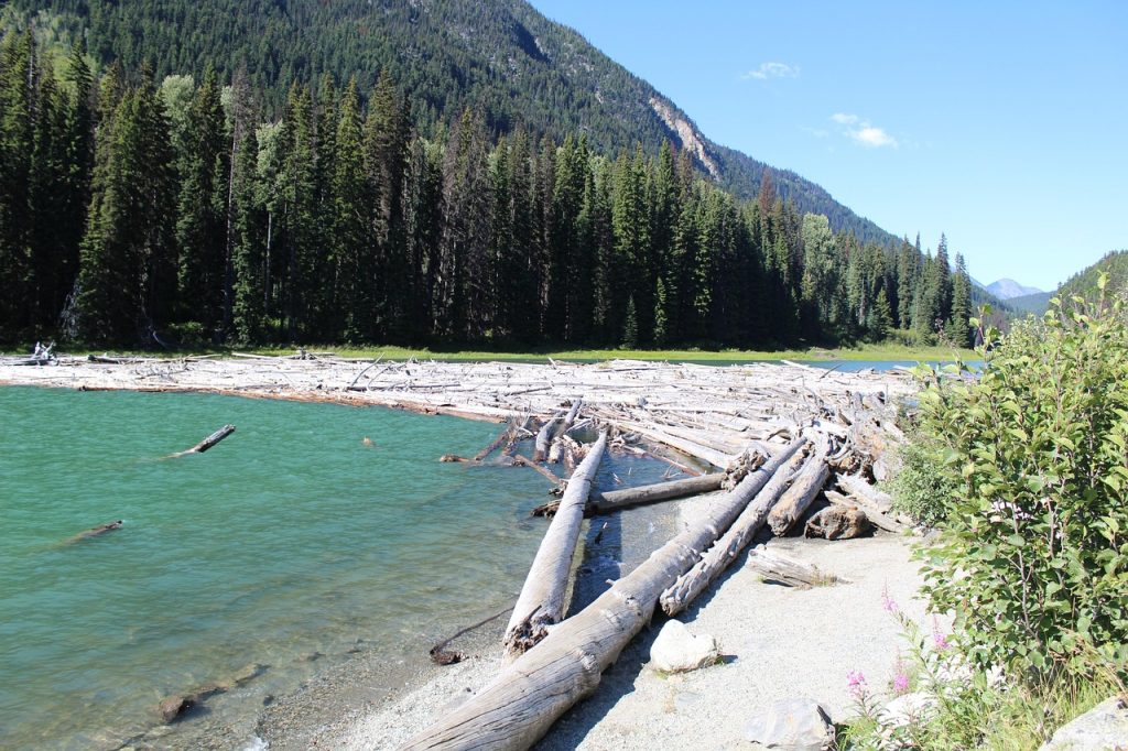 Haida Gwaii today balances cultural revival with self-governance and conservation.