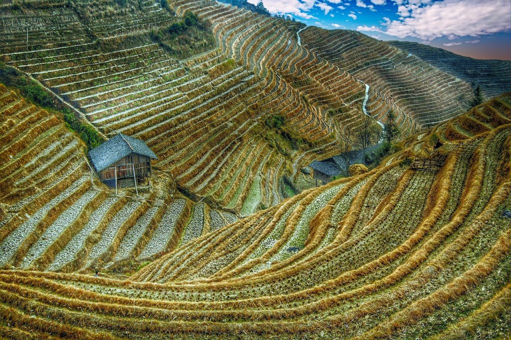 From the Yellow River plains to the rice-green south, the Han shaped the land itself.