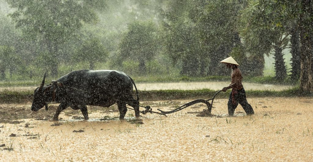 For most of history, the vast majority of Han lived by the rhythm of the fields.