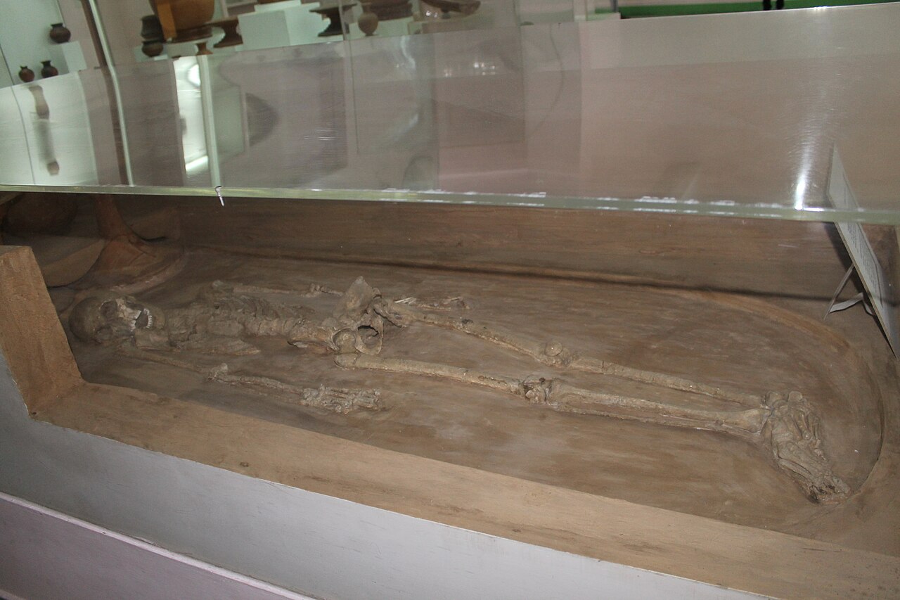 Skeleton of an eleven year old girl from the Harappa civilisation