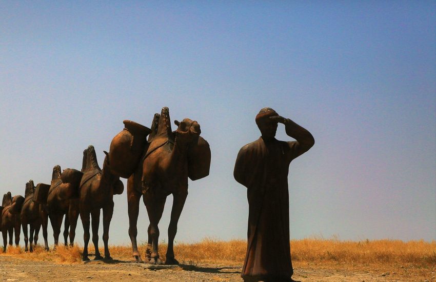 A camel caravan