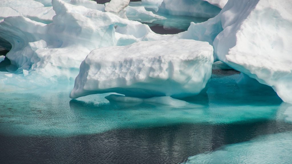 European whalers and traders began reaching Inuit waters in growing numbers from the 1700s onward.