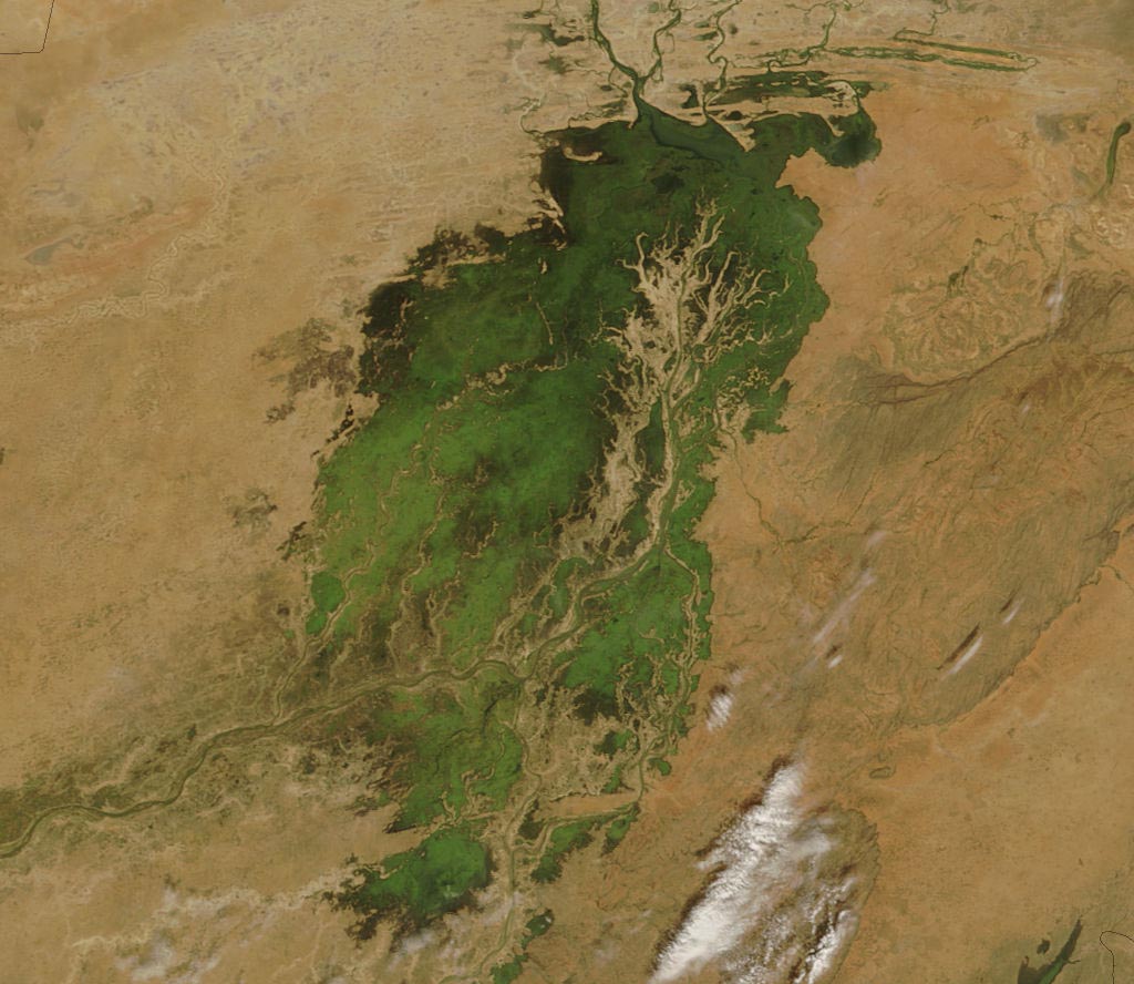 The MODIS on the Terra satellite took this picture of the Inland Niger Delta on November 11, 2007 shortly after the end 