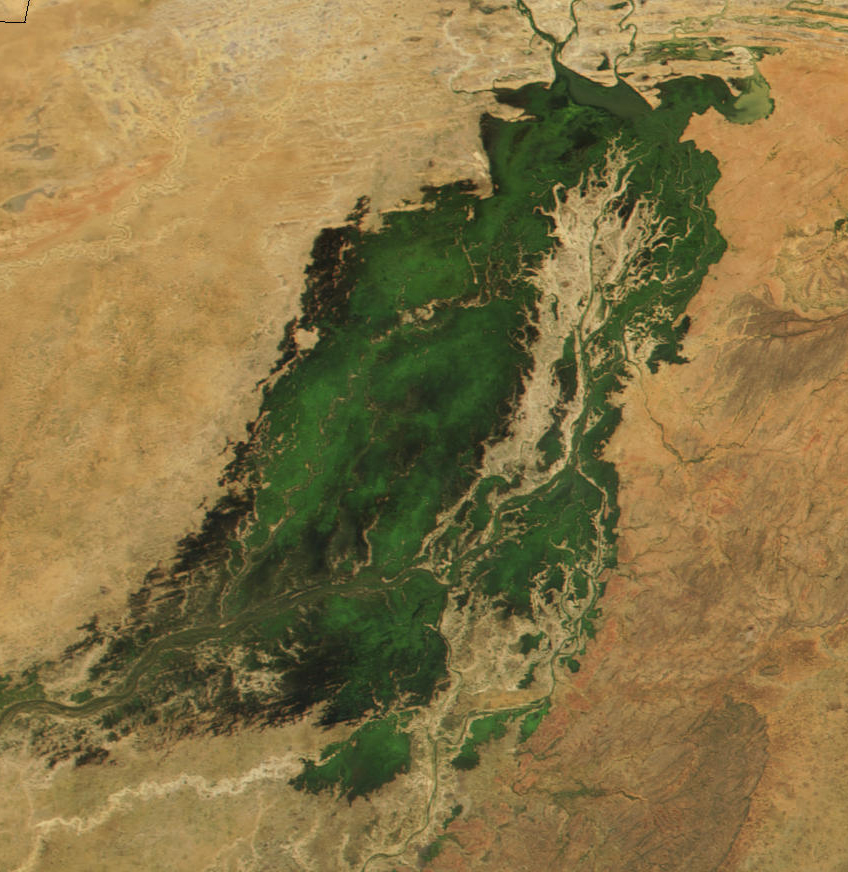 Niger River in Mali, 2001. Just south of the Sahara Desert in Africa, the Niger River creates a lush area of wetlands an