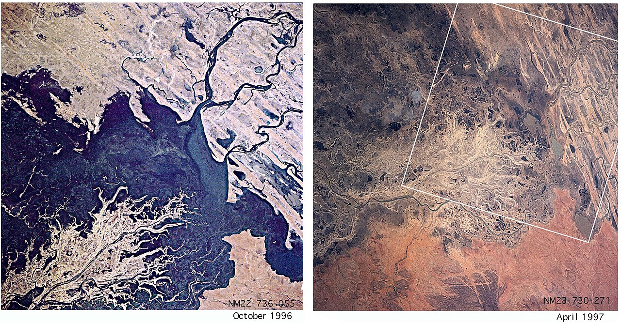 Inland delta of the Niger River. (A) In October 1996 (NASA photograph NM22-736-055) the dark green vegetation is luch wh
