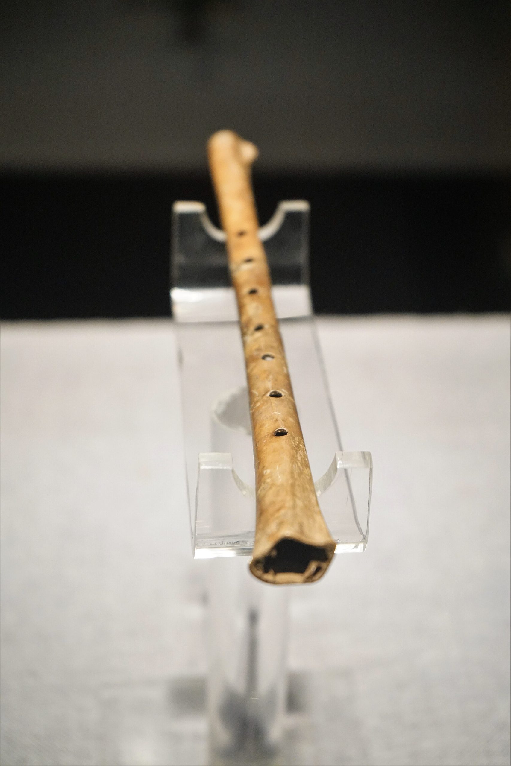 A Jiahu bone flute shown upright, revealing the row of finger holes that gave it a musical scale.