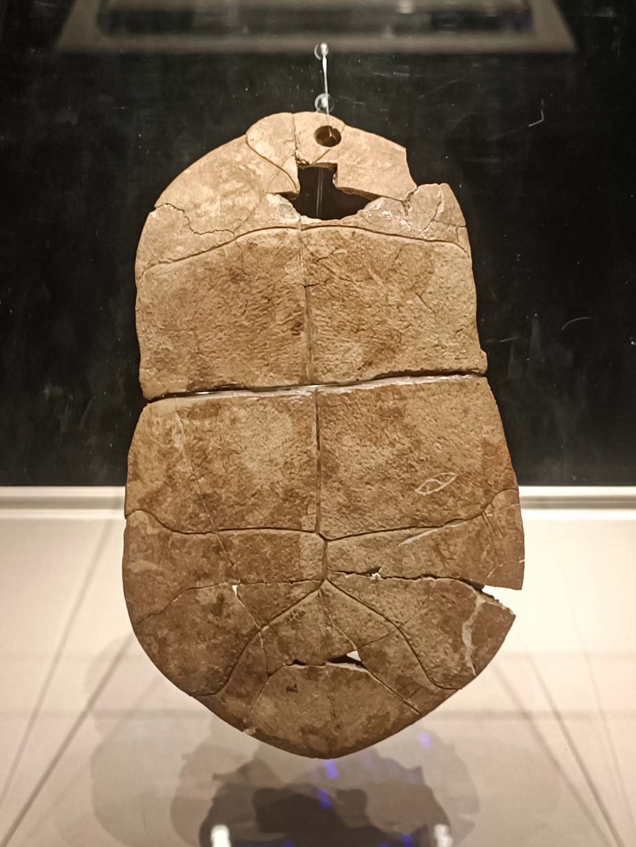 An inscribed tortoise shell from Jiahu, displayed among the treasures of the Henan Museum.