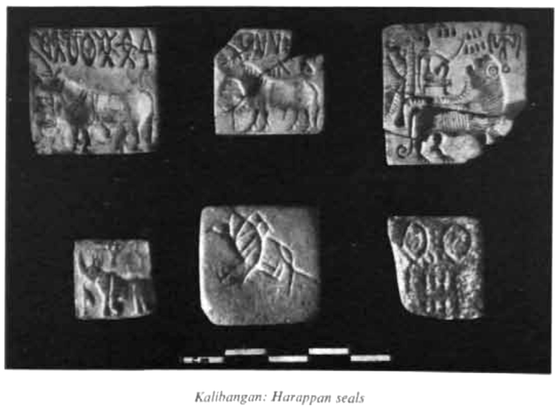 Carved Harappan seals found at Kalibangan, bearing animals and the undeciphered Indus script