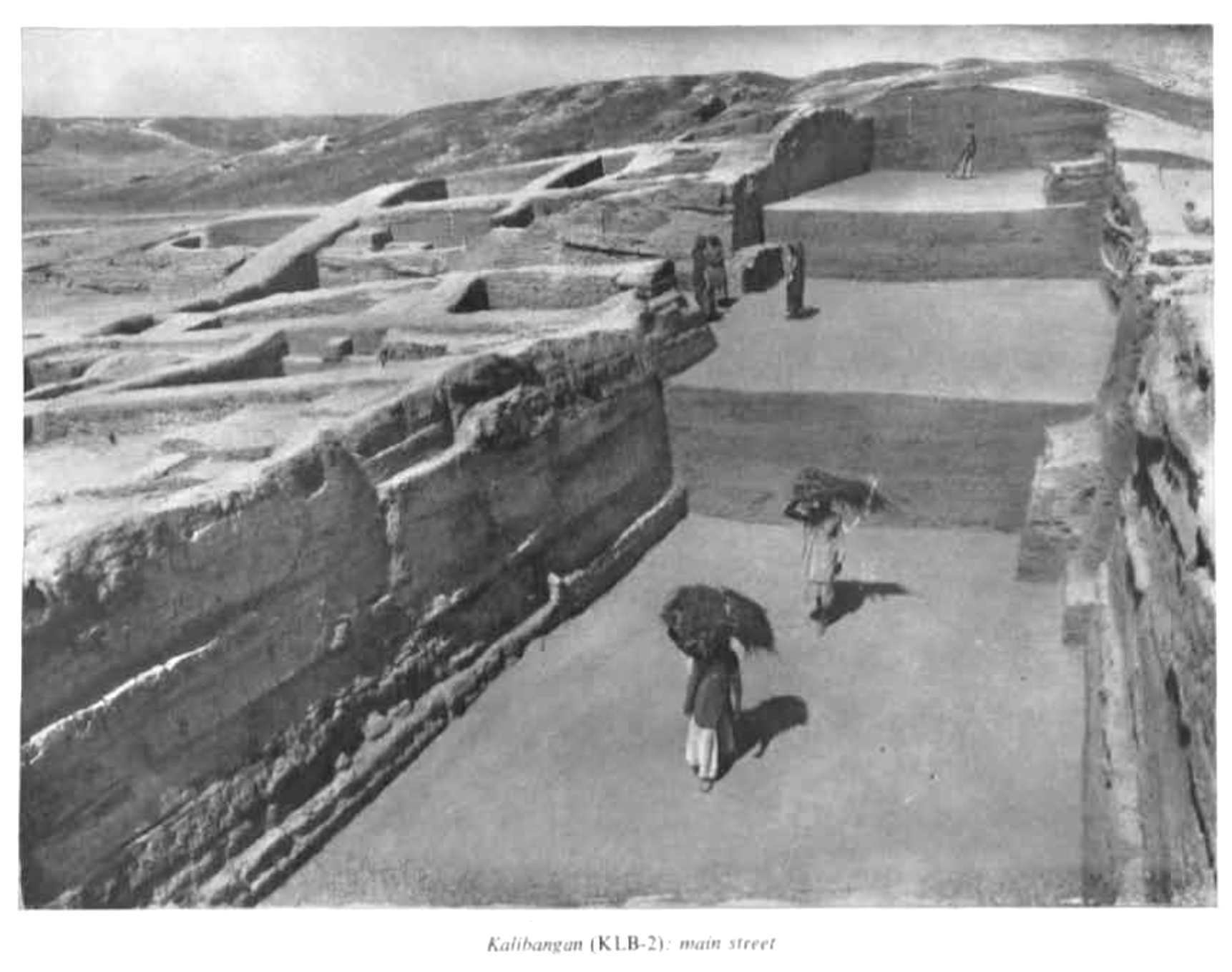 A straight excavated street cutting through the built-up area at Kalibangan