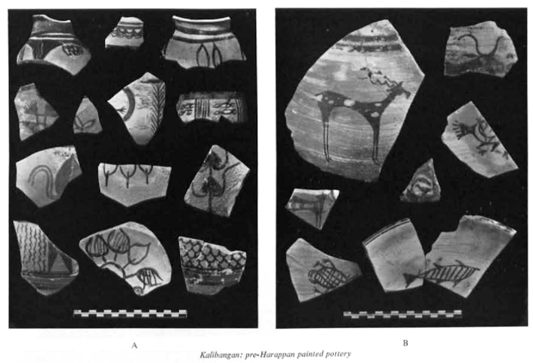 Pre-Harappan painted pottery recovered from the early levels at Kalibangan