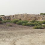 The excavated western mound at Kalibangan under an open sky