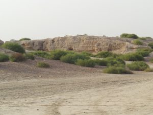 The excavated western mound at Kalibangan under an open sky
