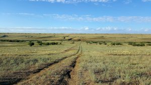 The open steppe of Kalmykia