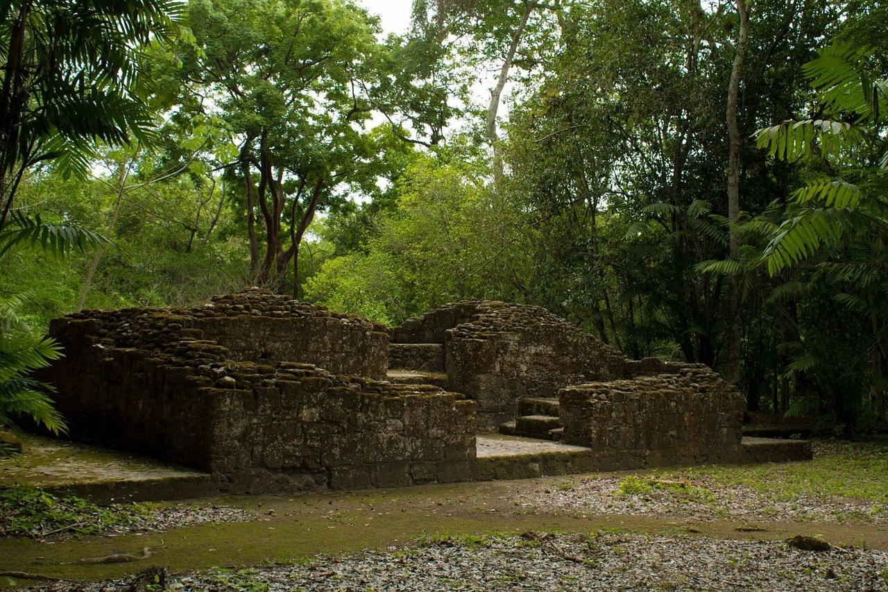 Ancient Maya stonework and archaeological remains