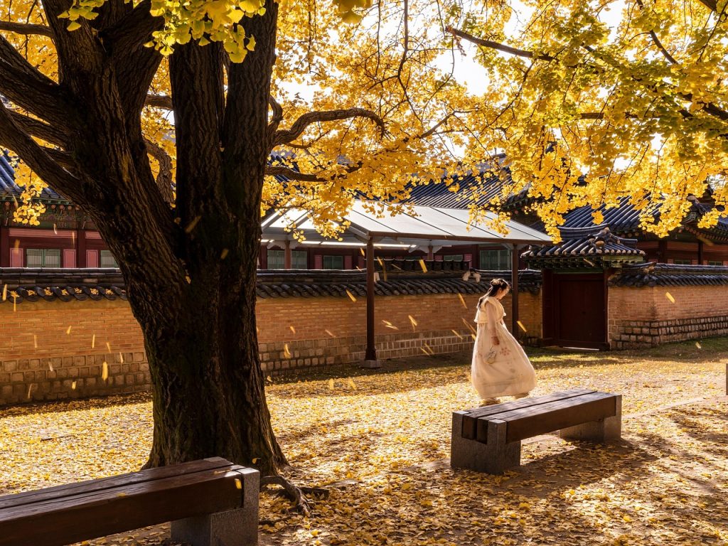 The palaces of old Korea, backdrop to a long and turbulent history.
