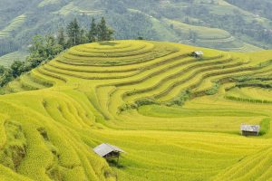 Forested mountains of the Korean peninsula