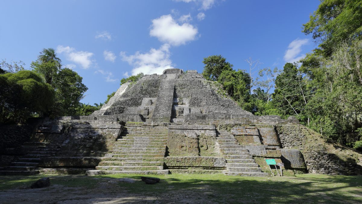 The High Temple pyramid at Lamanai rising above the jungle