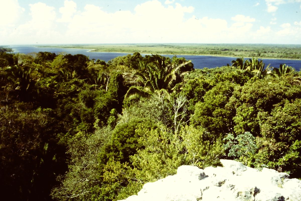 The New River Lagoon beside the ancient city of Lamanai, Belize