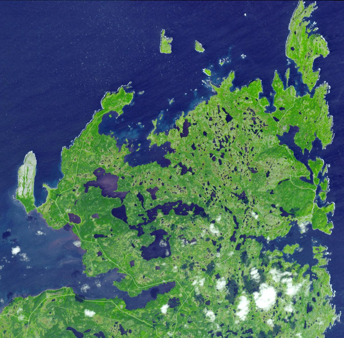 Satellite image of L'Anse aux Meadows on the northern tip of Newfoundland