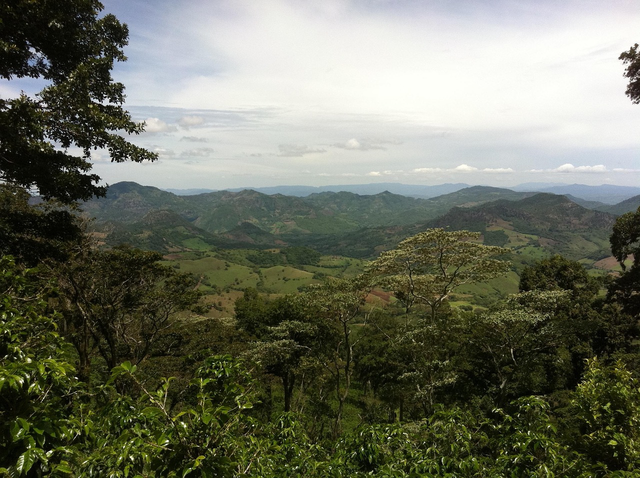 Coffee ties Lenca communities to the modern economy.
