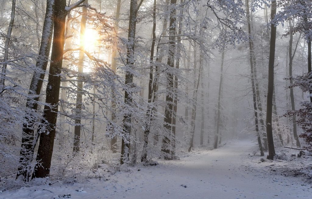 The long winters of Manchuria shaped a hardy northern people.