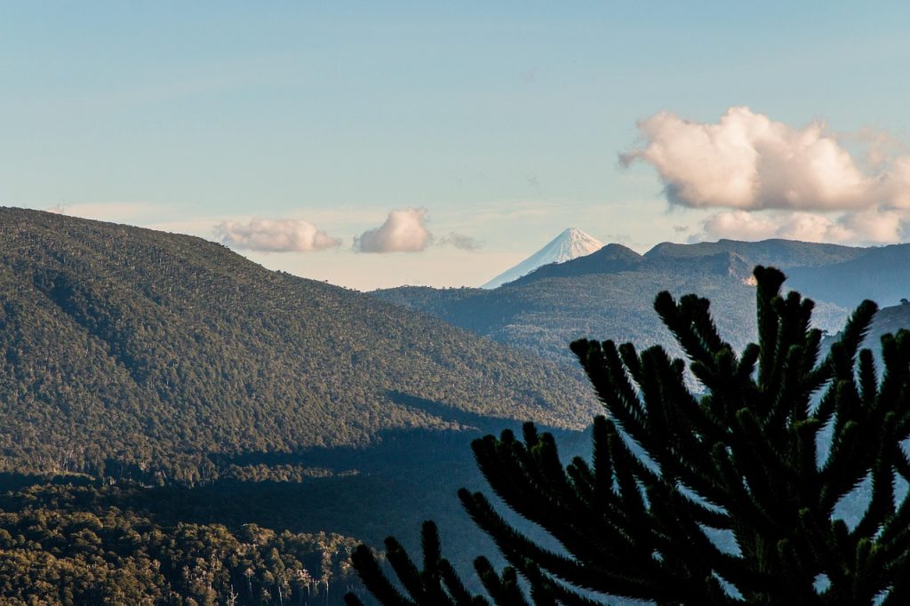 Mapudungun, the Mapuche language, is still spoken across Chile and Argentina.