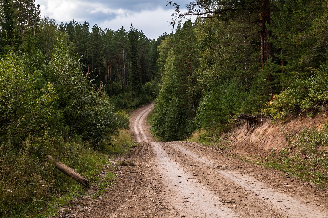 The forests where the Mari language is spoken