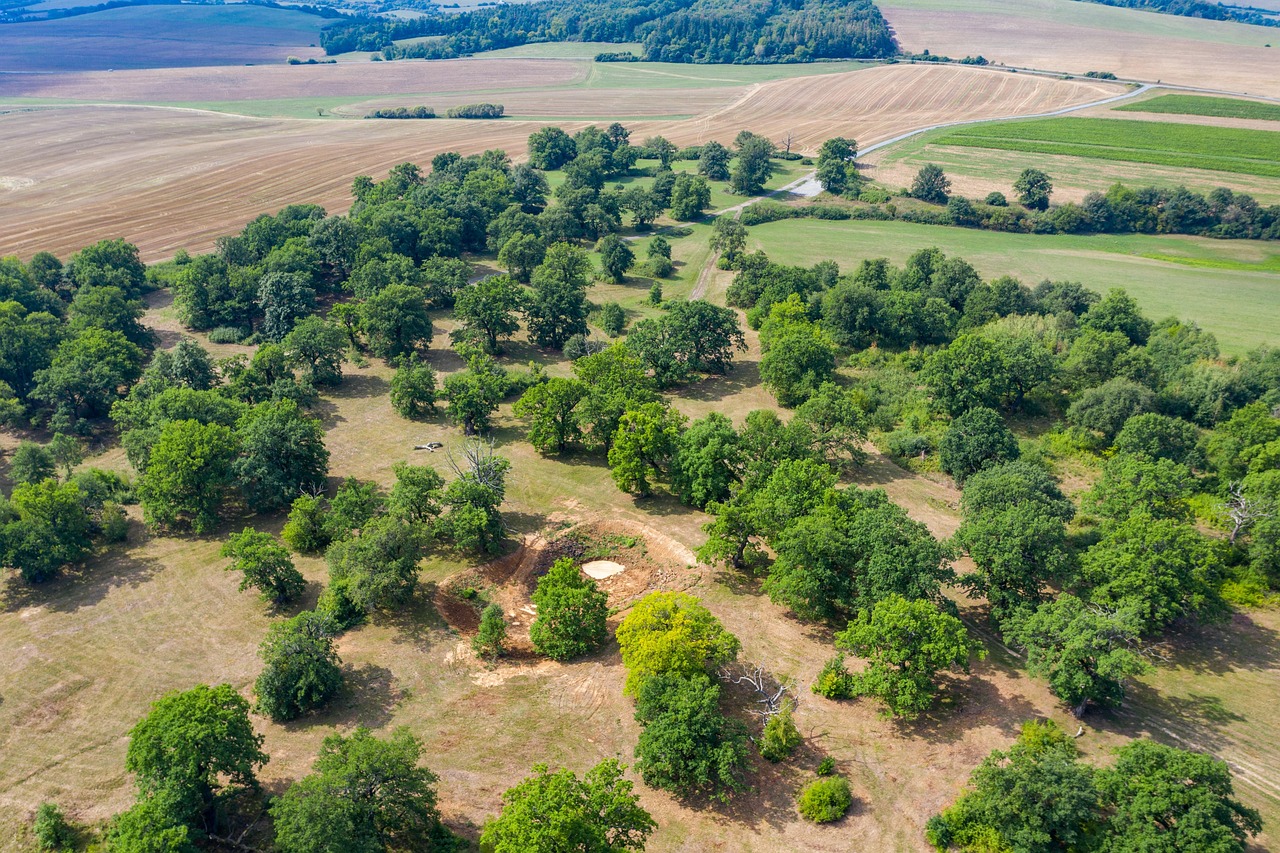 The wooded world of the Mari villages