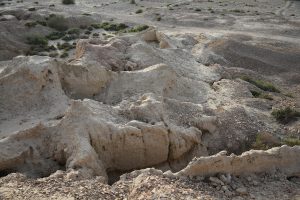 The broad footprint of the main excavation area at Mehrgarh